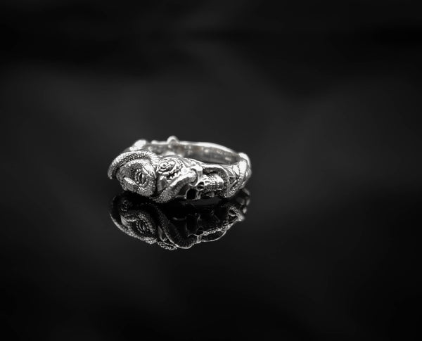 Snake with Skull Ring Gothic Men's Death Punk Jewelry 925 Sterling Silver Size 6-15 R-513