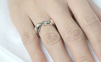 Free Engraved Inside Ring - Dolphins Ring  - 925 Sterling Silver Style Gift Idea Rocker Gothic Woman Jewelry -  Silver ring (SR-049)